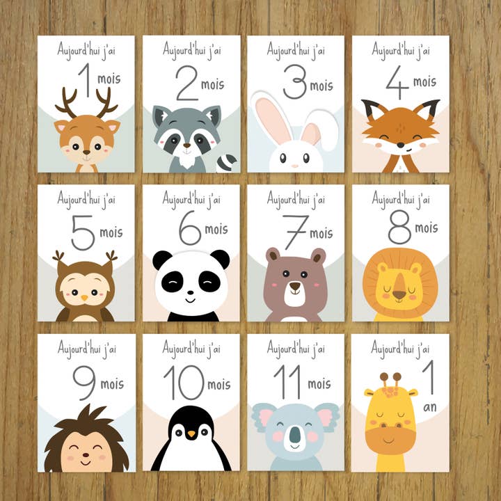 Baby stage cards, month by month, animals for wholesale by Créa-graphic
