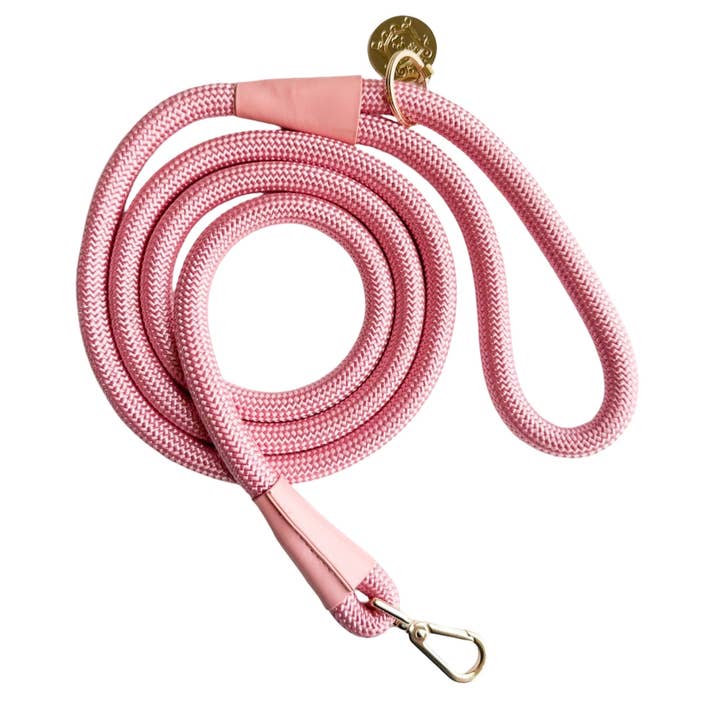 The Classic Leash - Malibu for wholesale by Doggie Republic