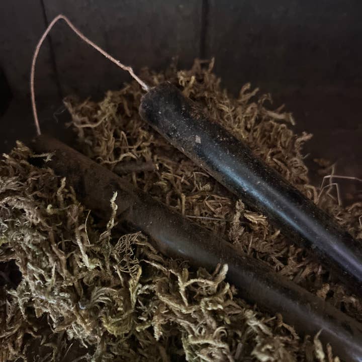 The Cranberry Cornstalk Co. - Wholesale Tapered Candle/Candlestick - Primitive Grubby Taper hanging candle stick1