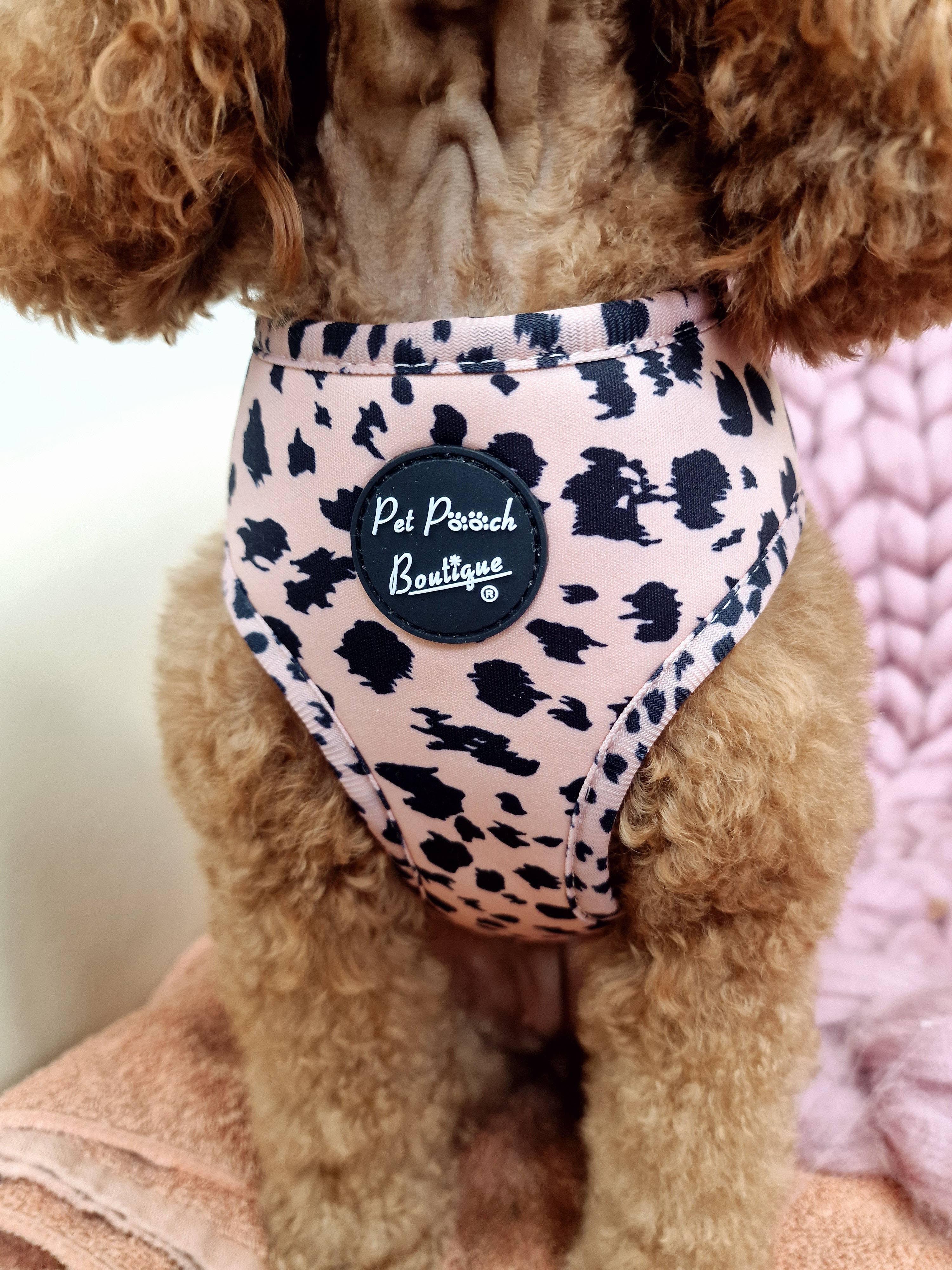 Pet Pooch Boutique - Wholesale Pet Harness - Dog - Polka Pup Noir Dog Harness  (leopard print/timeless classic)6