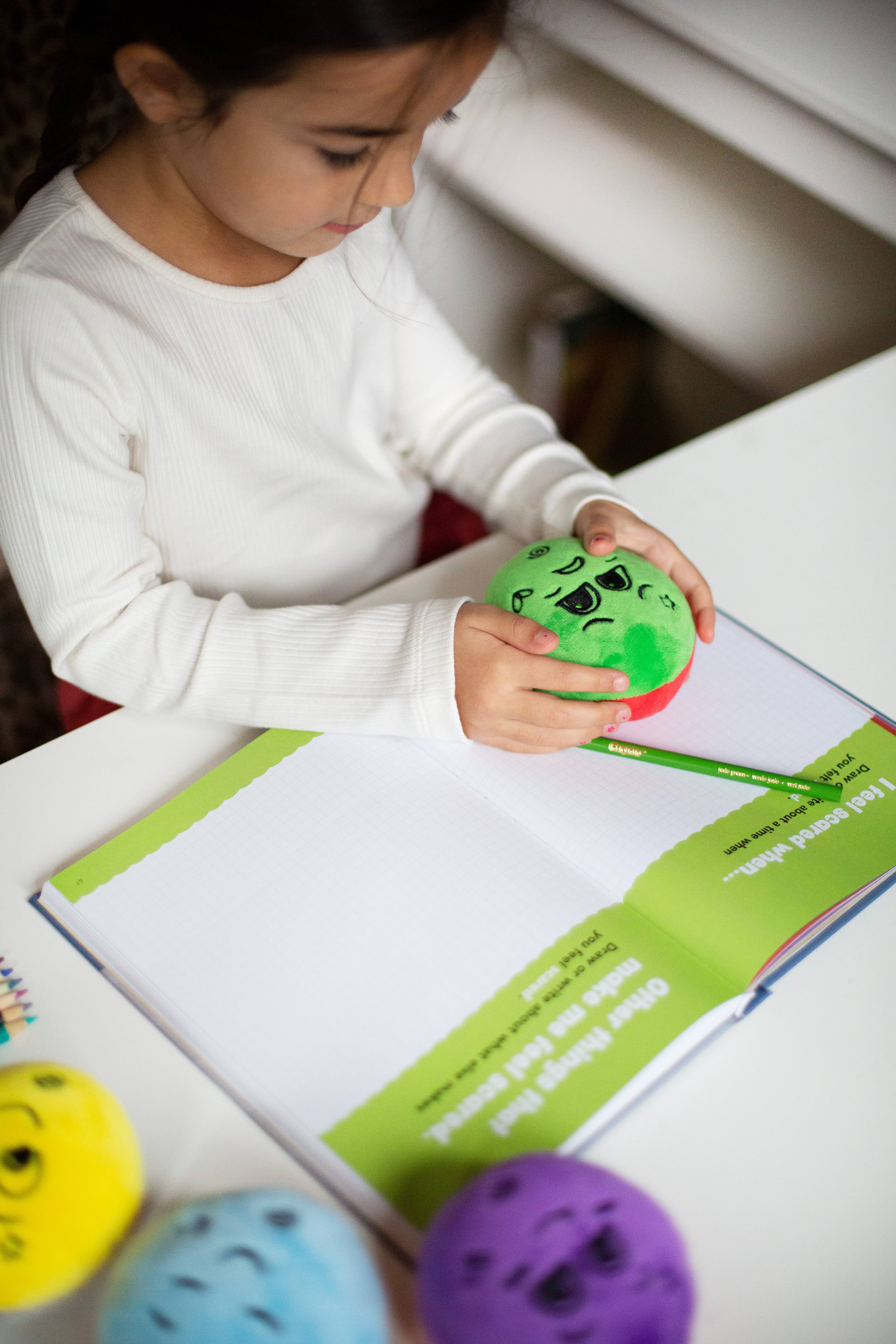 FeelLinks - Wholesale Journal/Diary - Kids - FeelLinks Emotion Set | SEL Tools & Feelings Journal8