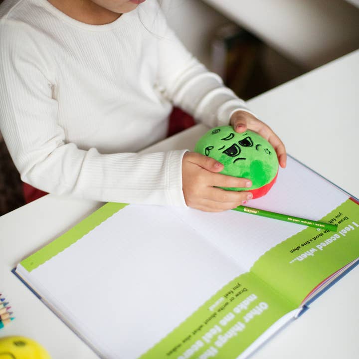 FeelLinks - Wholesale Journal/Diary - Kids - FeelLinks Emotion Set | SEL Tools & Feelings Journal8