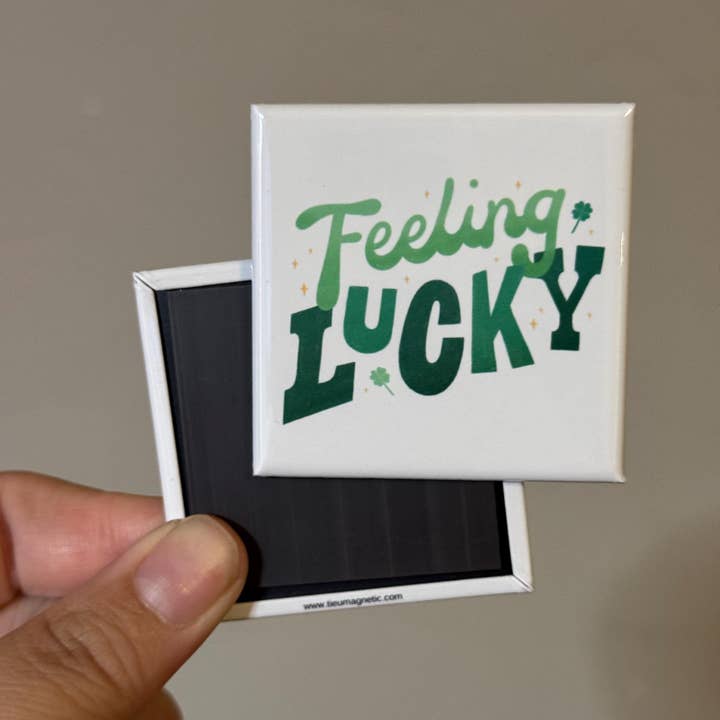 Ímã de Sorte por atacado de Tieu Magnetic