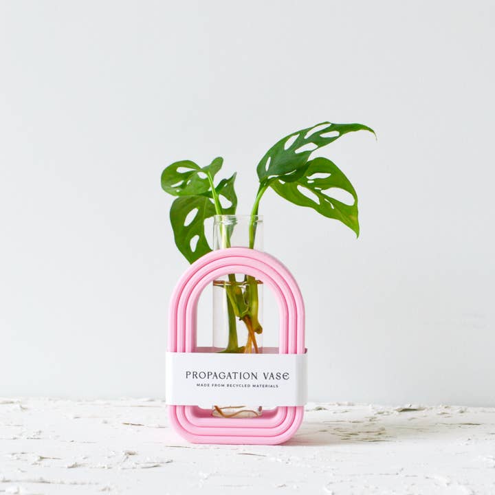 LindaMakess - Wholesale Plant Pot - 3D Printed Bubble Rainbow Arch Propagation Stands