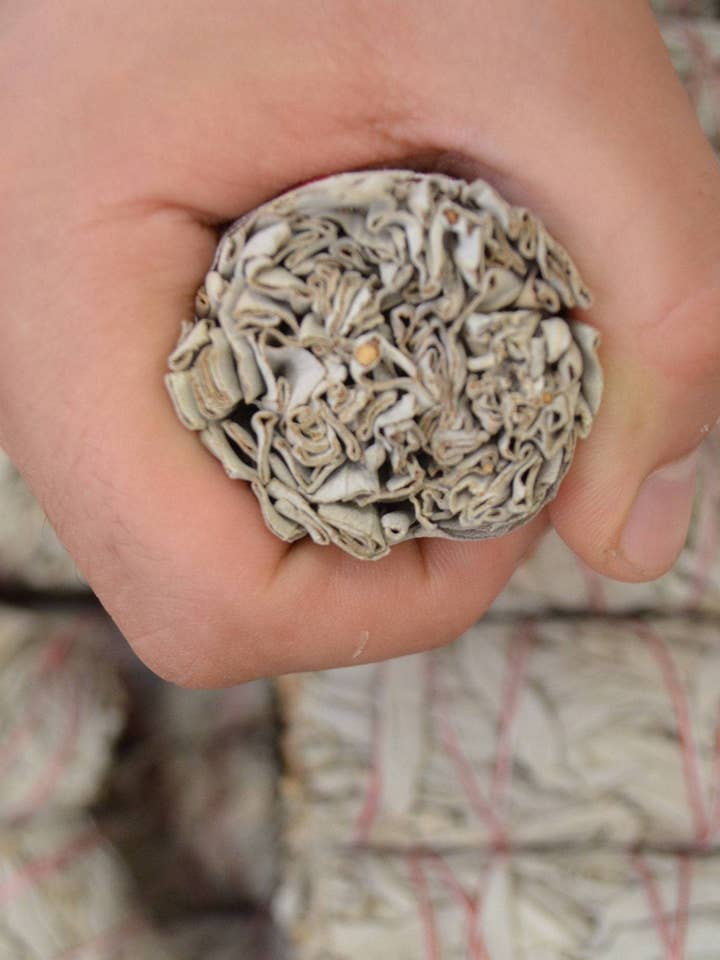 ORGANIC White Sage 4 inch Smudge Sticks I Sage High Quality for wholesale by CaNatureLover