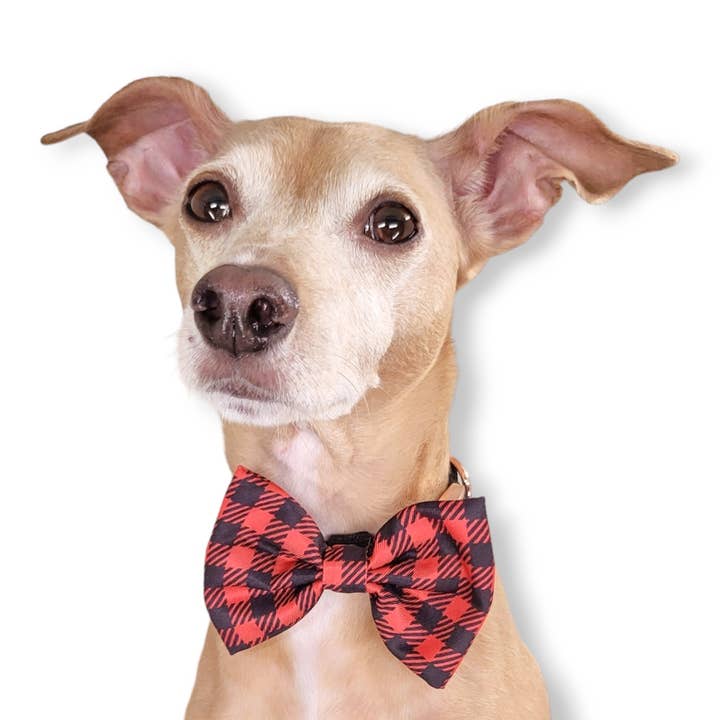 BUFFALO PLAID - COLLIER POUR CHIEN, NŒUD PAPILLON pour la vente par DAPPER DEXTER