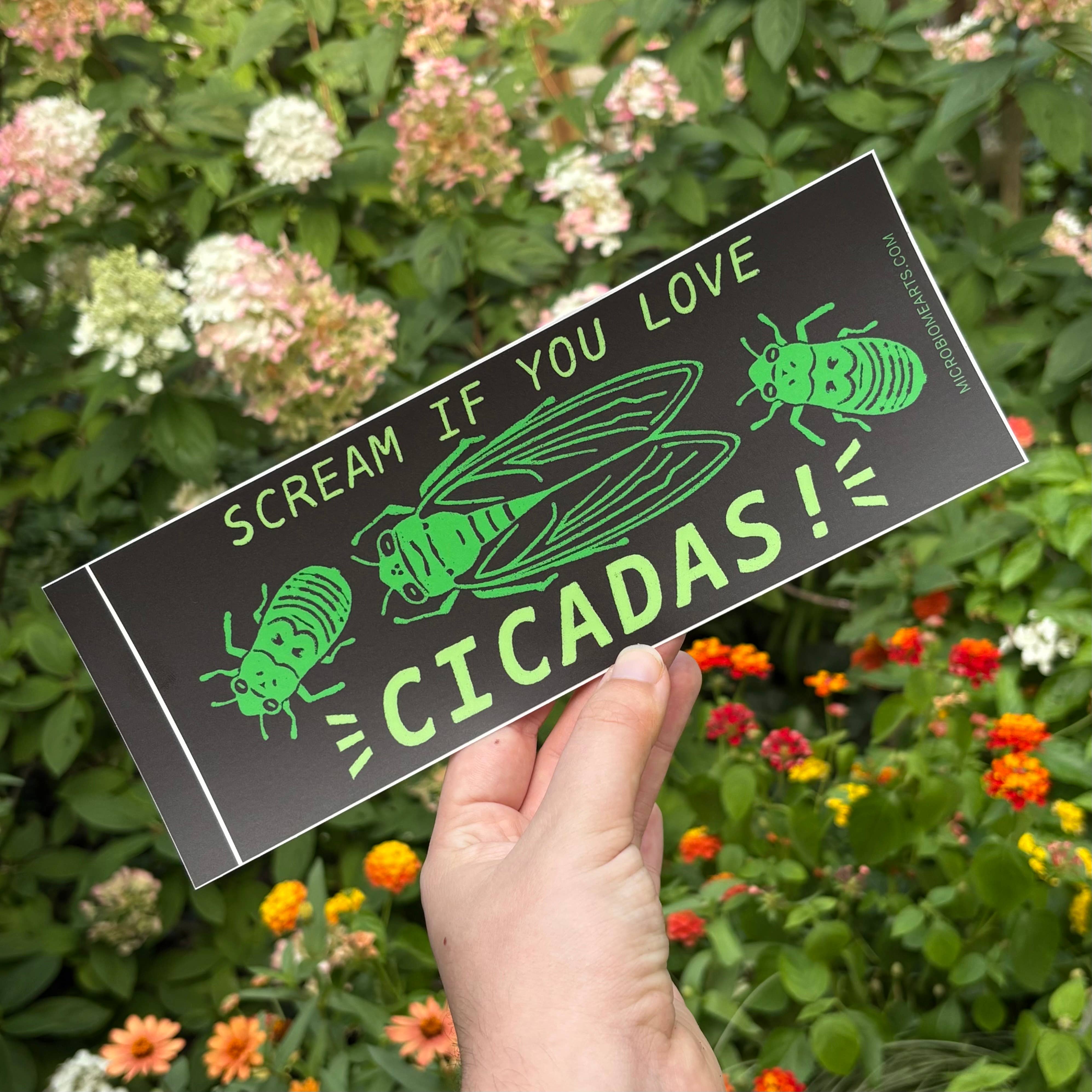 Microbiome Arts - Wholesale Sticker - Scream If You Love Cicadas Bumper Sticker2