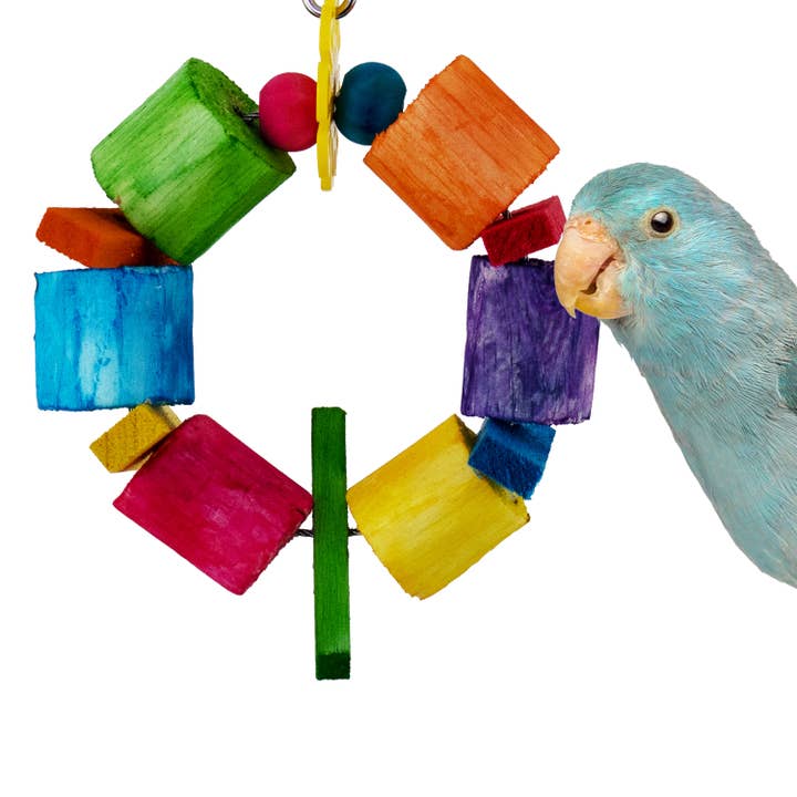 Anneau Sola Balsa pour la vente par Super Bird Creations, LLC