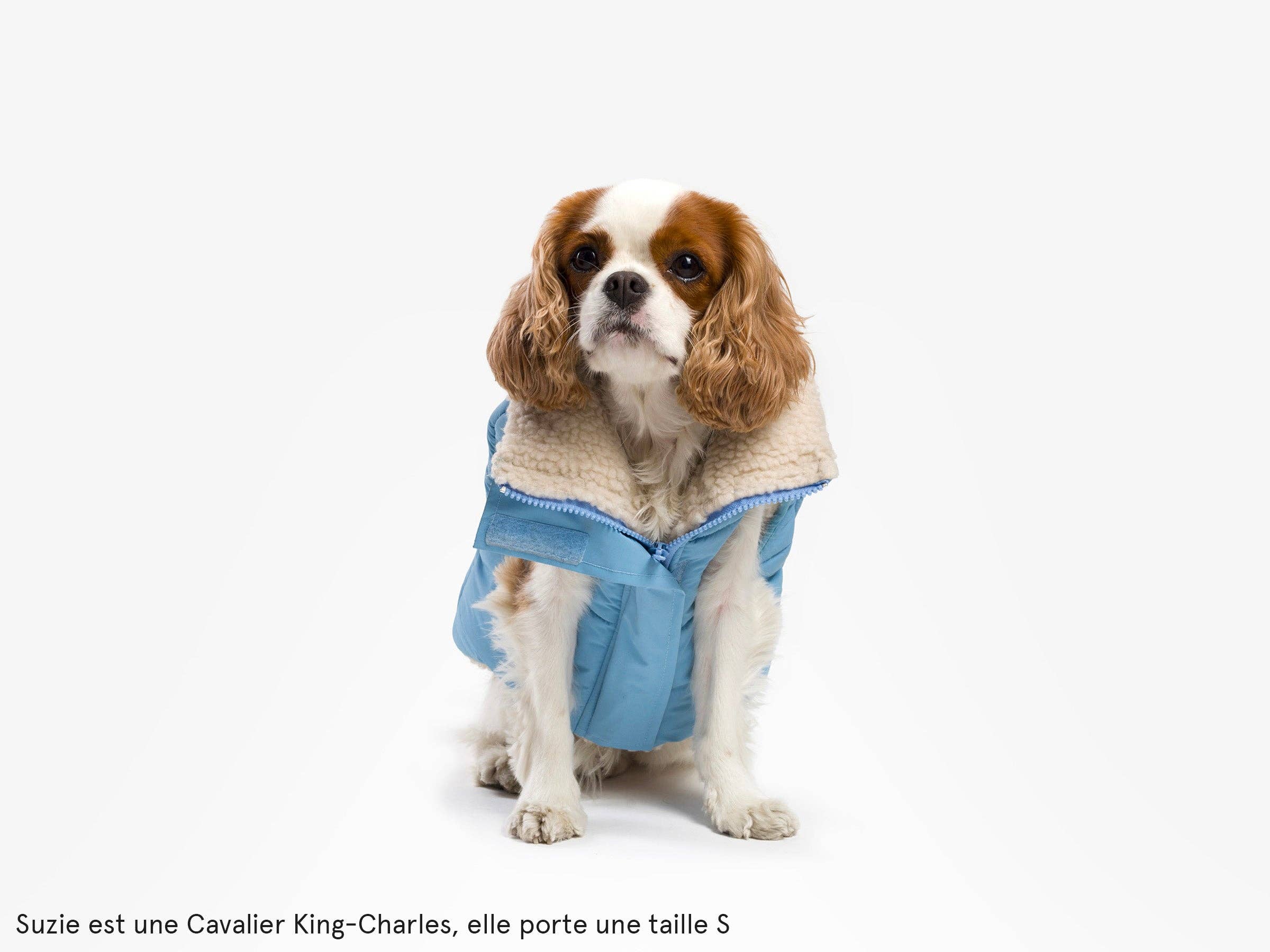 French Bandit - Wholesale Pet Coat - Dog - Thick dog jacket8