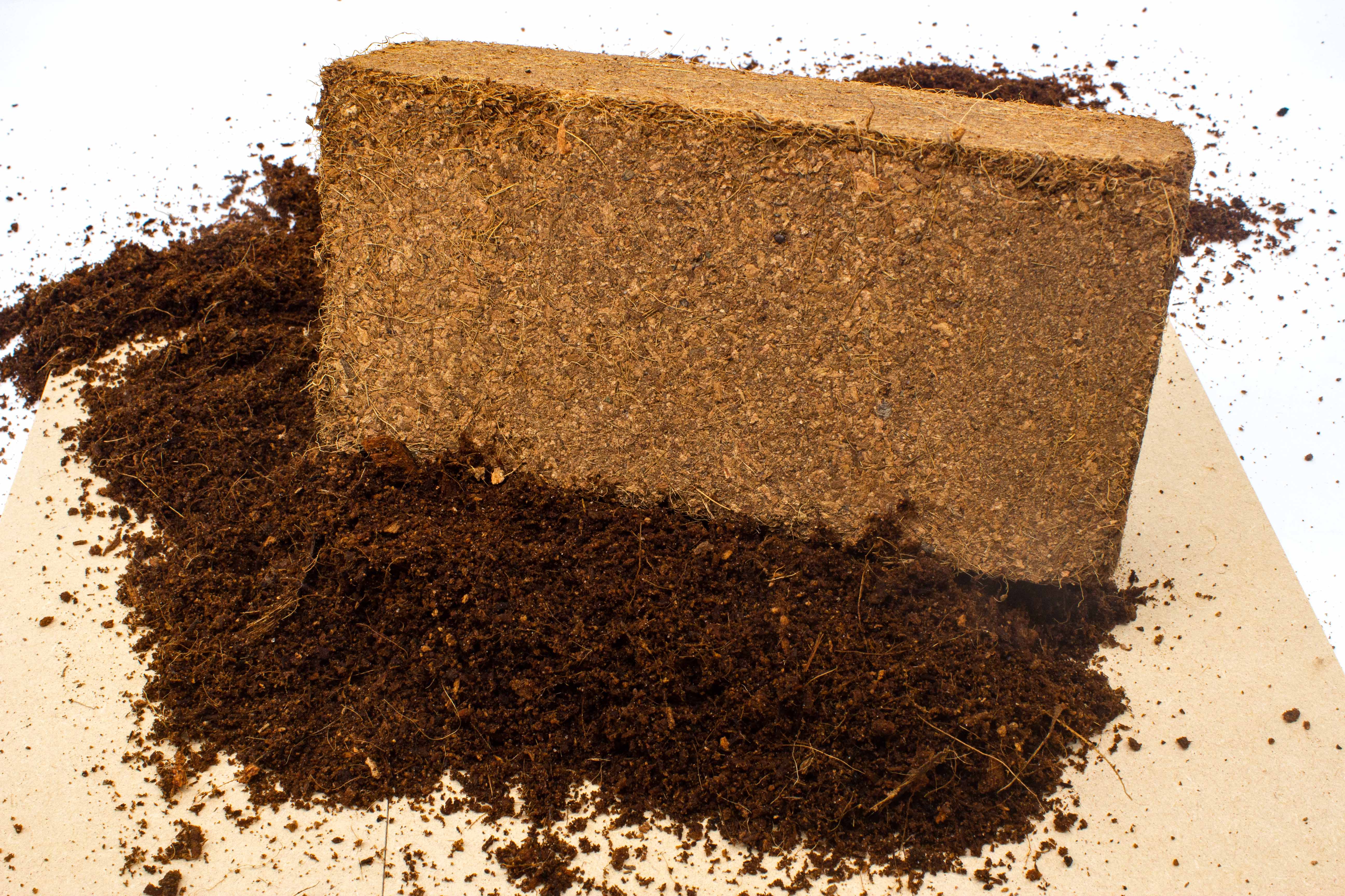 CoirProducts.co.uk of Salike Limited - Wholesale Planting/Potting Soil - 650g Coco Peat Bricks | Growing Medium | CoirProductsCoUk3