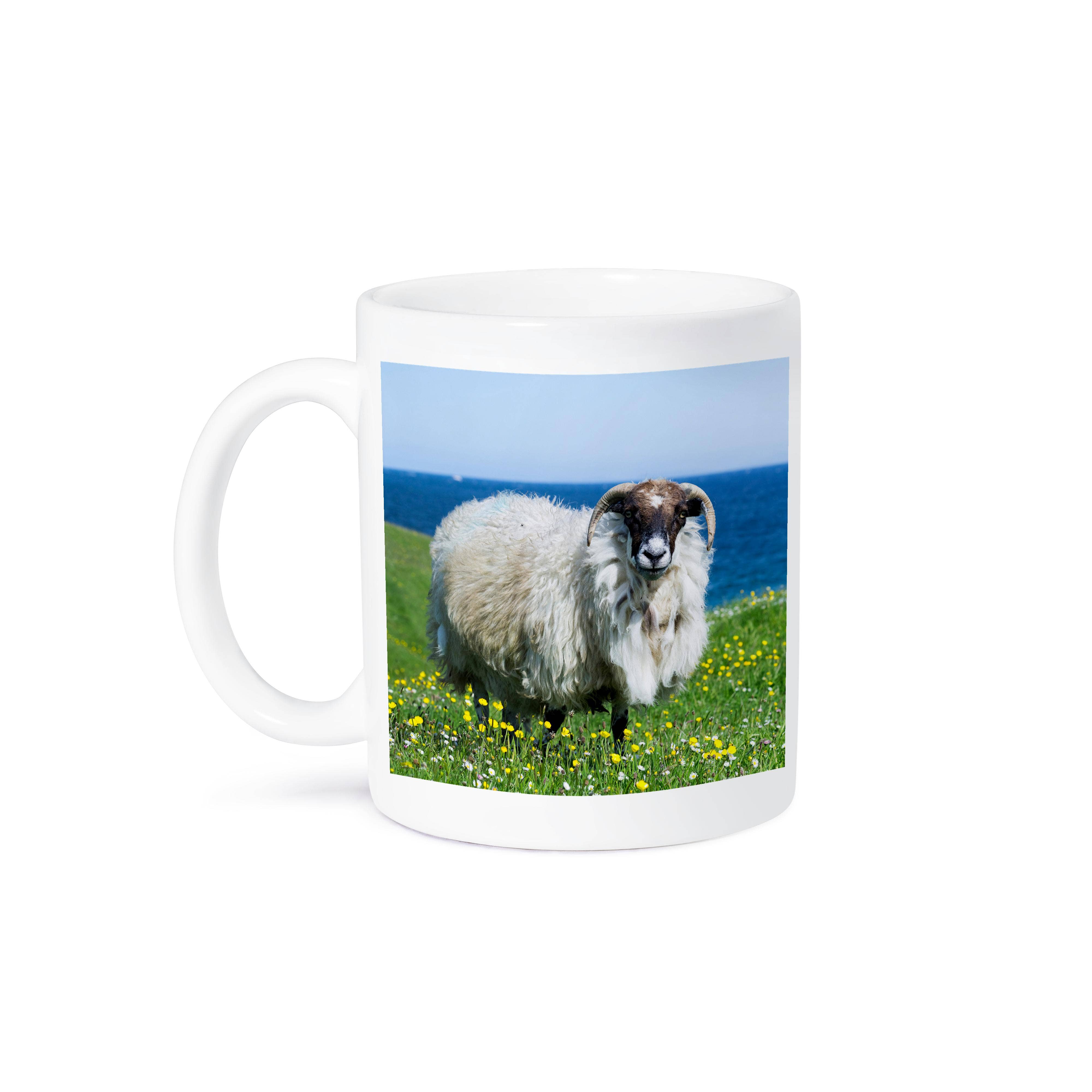 3dRose - Wholesale Coffee Mug - 3dRose, Scottish Blackface on Isle of Harris, Scotland, Mug8
