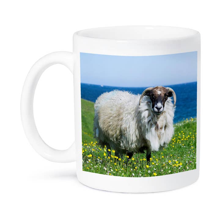 3dRose - Wholesale Coffee Mug - 3dRose, Scottish Blackface on Isle of Harris, Scotland, Mug8