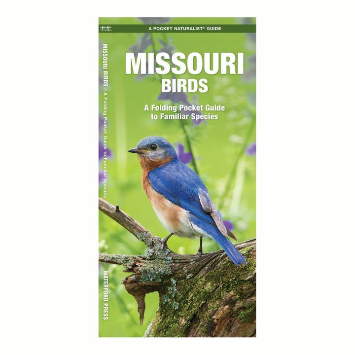Waterford Press - Wholesale Nature Guide - Missouri Birds Nature Guide