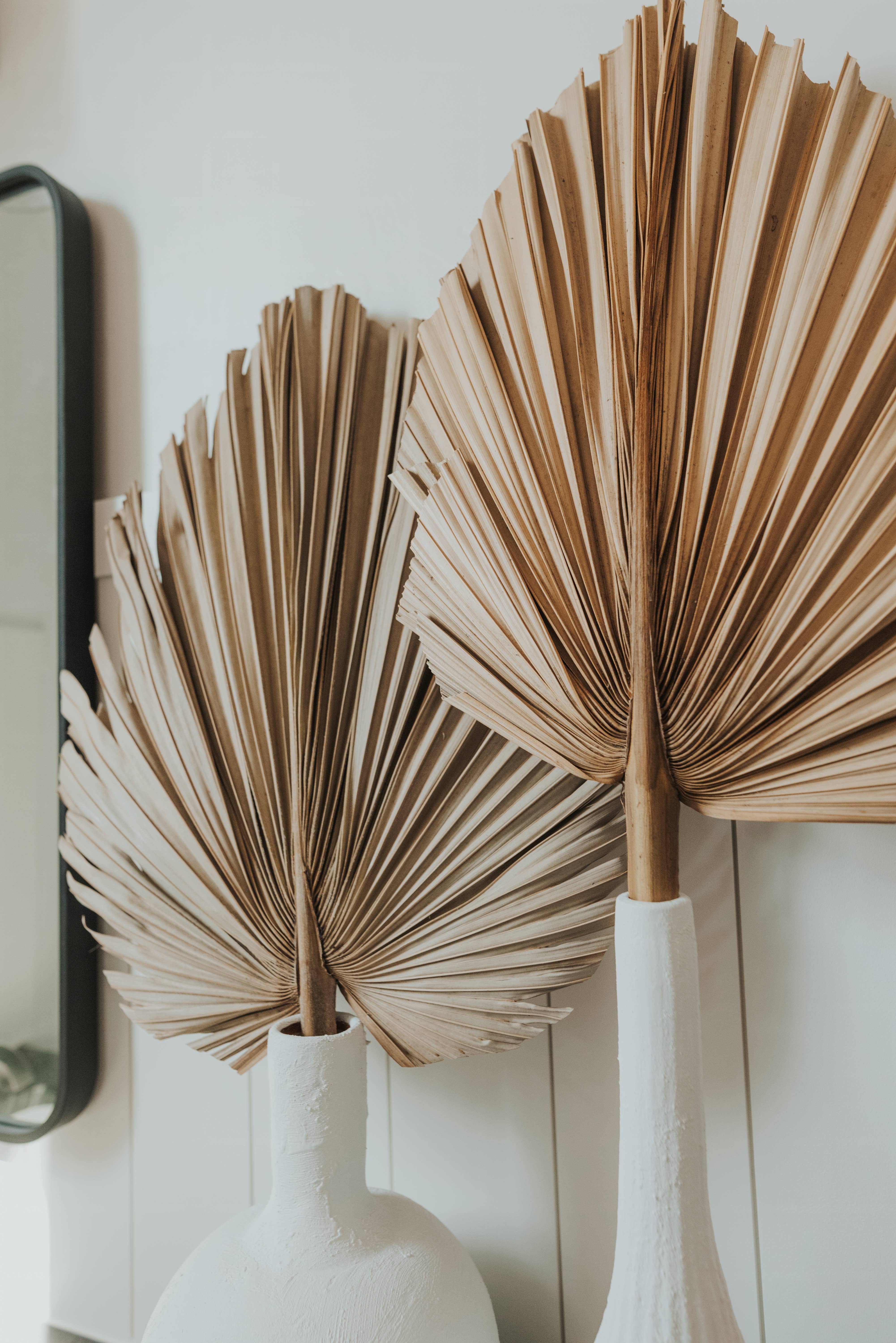 The Blooming Palm – wholesale Decal – Party decorations – Palm Leaves, Large Dried Trimmed Organic Tropical Dried Fan16