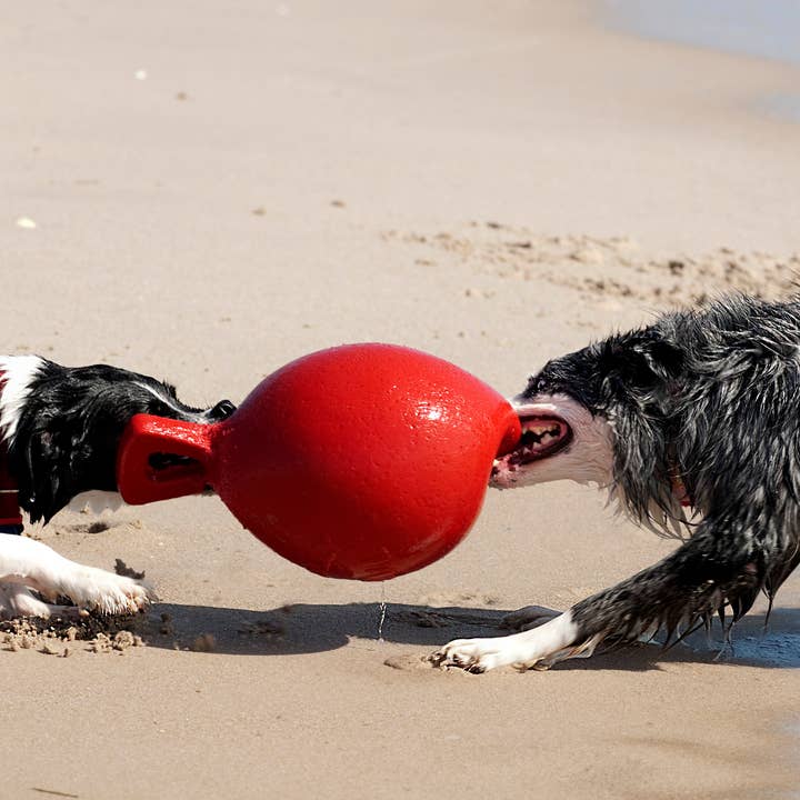 Henry Wag – wholesale Pet toy – Dog – Jolly Pets Tug-n-Toss Dog Toy6