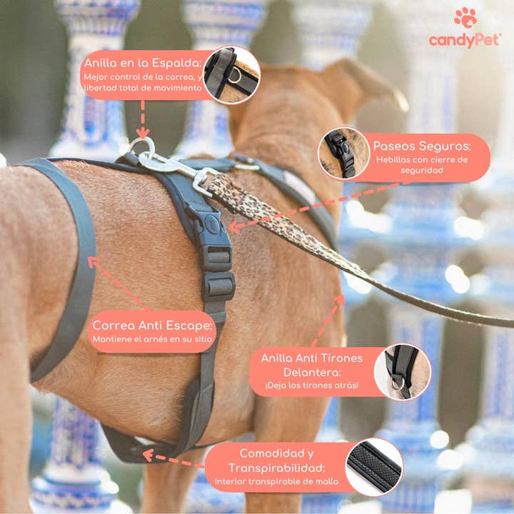 candyPet – Großhandel Haustiergeschirr – Hund – 3-Punkt Anti-Fluchthund-Geschirr2