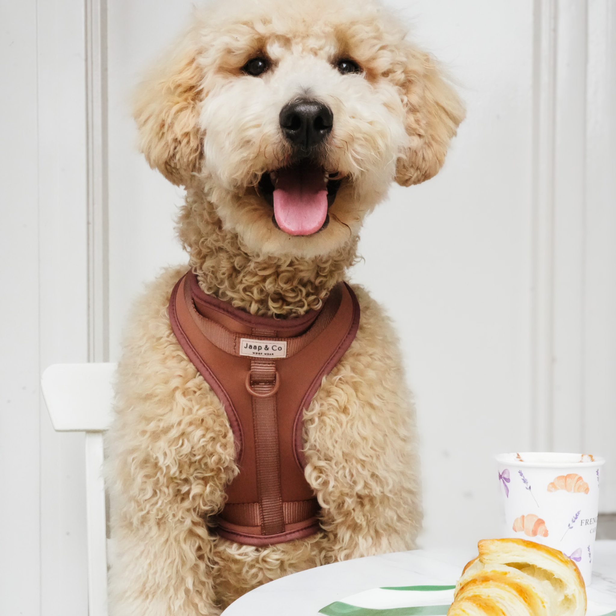 Jaap & Co - Woof Wear – wholesale Sele - Hund – Mocha Mousse Waterproof - Hundsele (STORLEK XS, S, M FÖRBESTÄLLNING)2