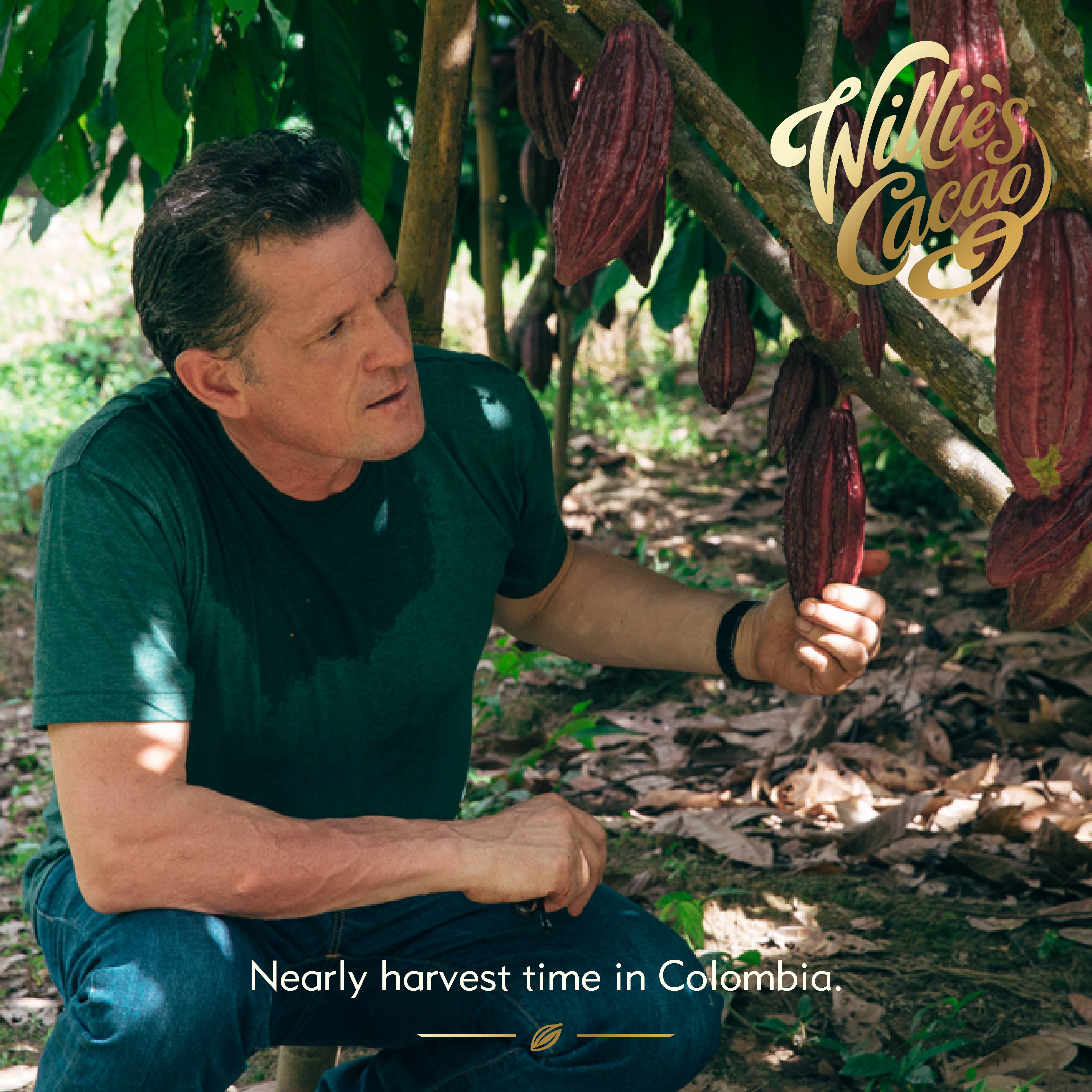 Willie's Cacao - Wholesale Chocolate Bar - Sea Flakes. Milk chocolate with Cornish Sea Salt. 26g bar5