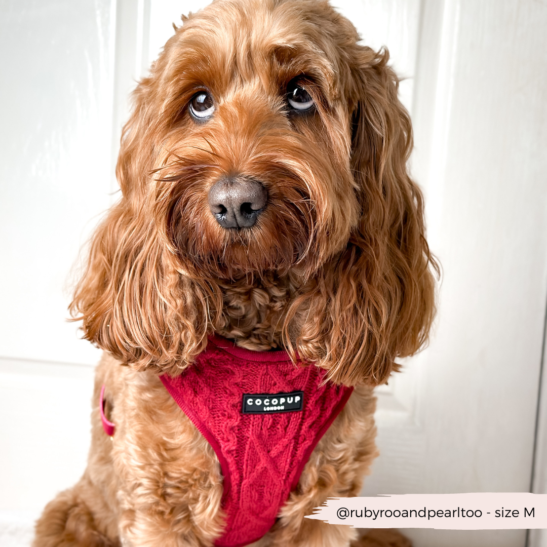 Cocopup London - Wholesale Pet Harness - Dog - Cable Knit Jumper Adjustable Neck HARNESS - Mulled Pup Wine10
