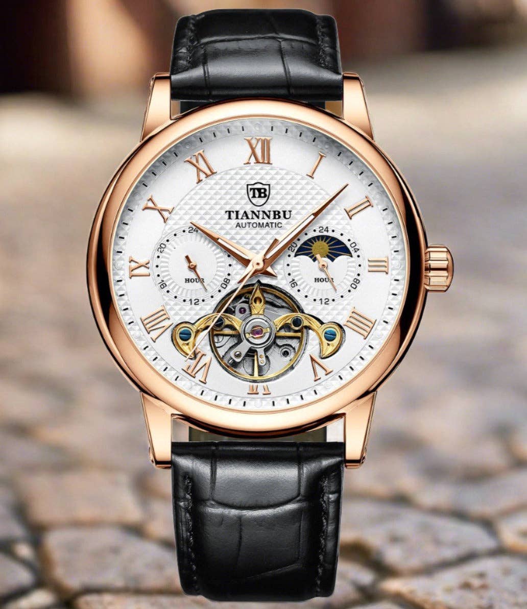 WoodWristCo - Wholesale Wrist Watch - Men's - Automatic Multifunction Men's Waterproof Luminous Leather Watch