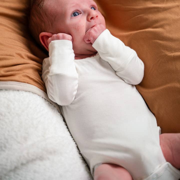 Pip + Phee – wholesale Bodysuit (non-footed) – Baby – Long Sleeve Bodysuits19