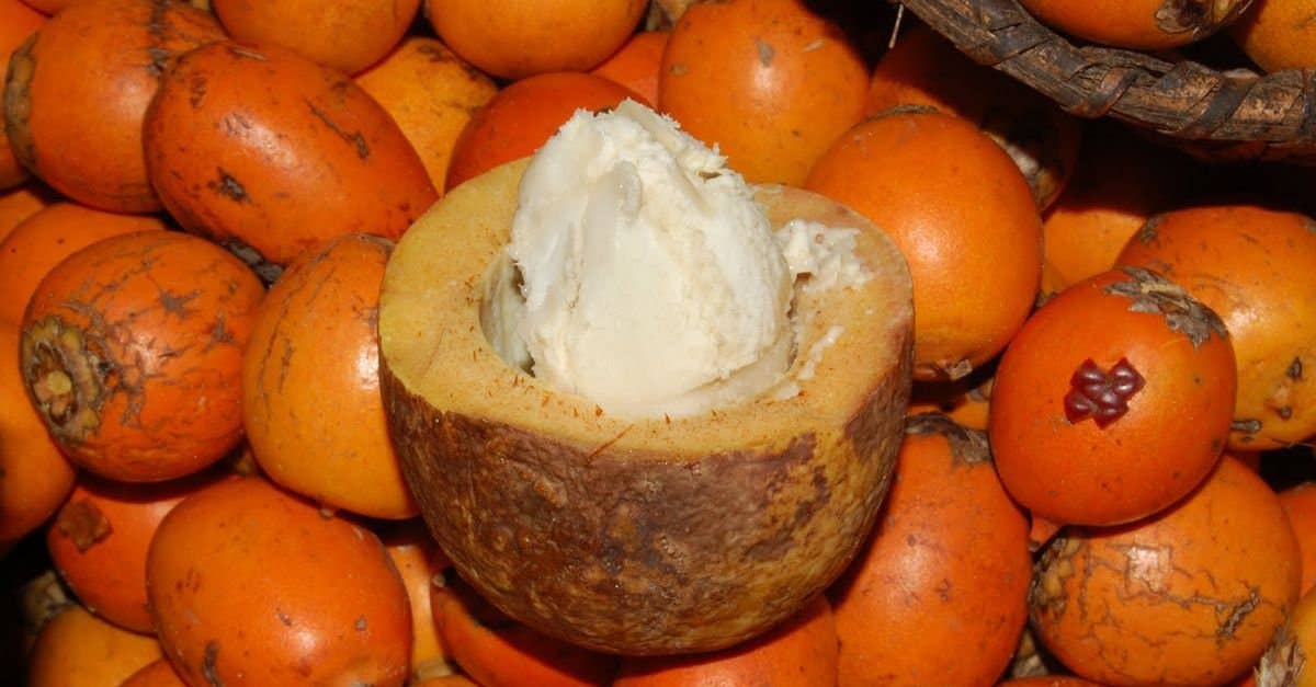 Kemistry Organics - Wholesale Body Balm/Butter - Marajó Tucuma Butter for Hair, Face & Body5