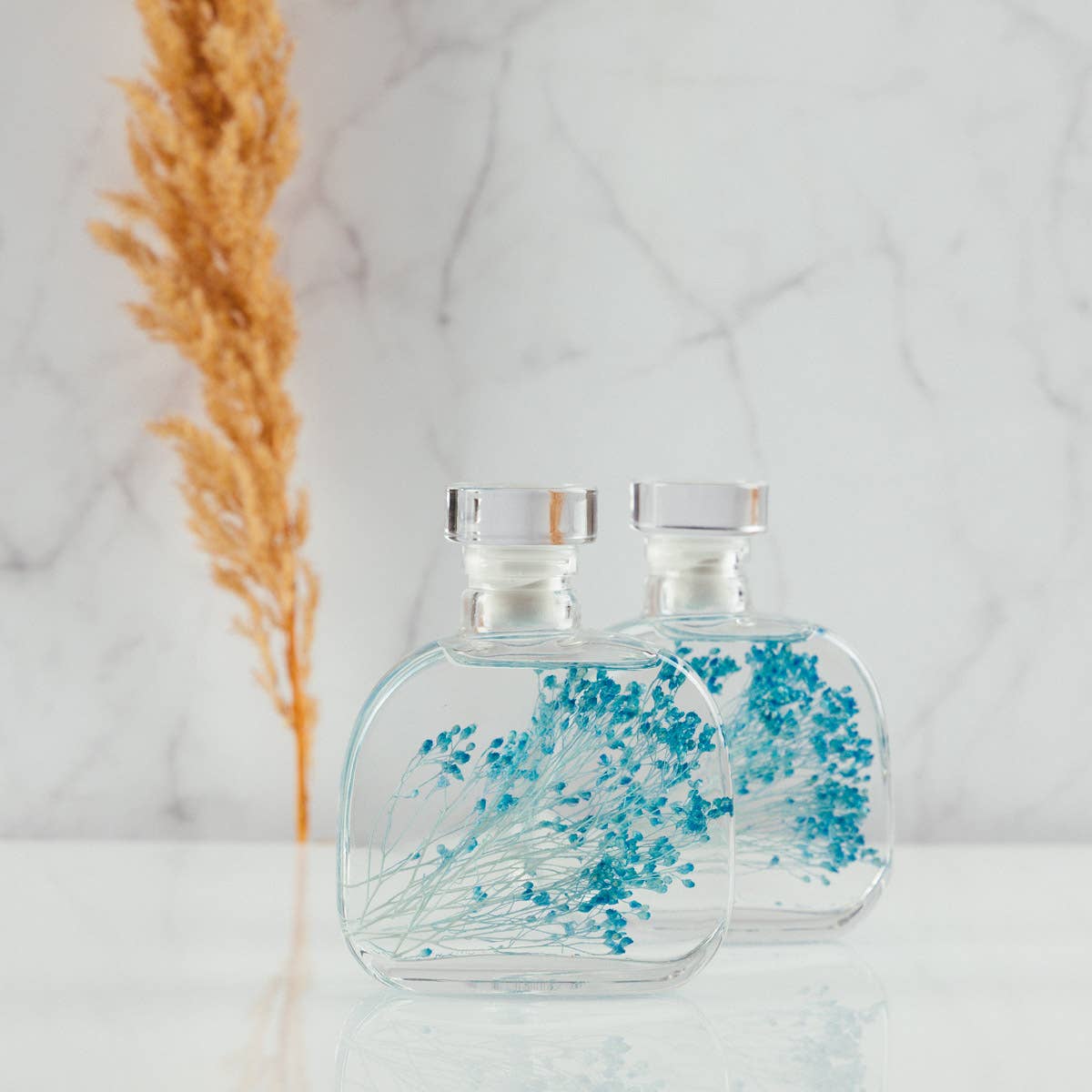 Theophile Berthon - Vente Plante - L'Herbarium Capsule- Broom bloom bleu-plante immergée5