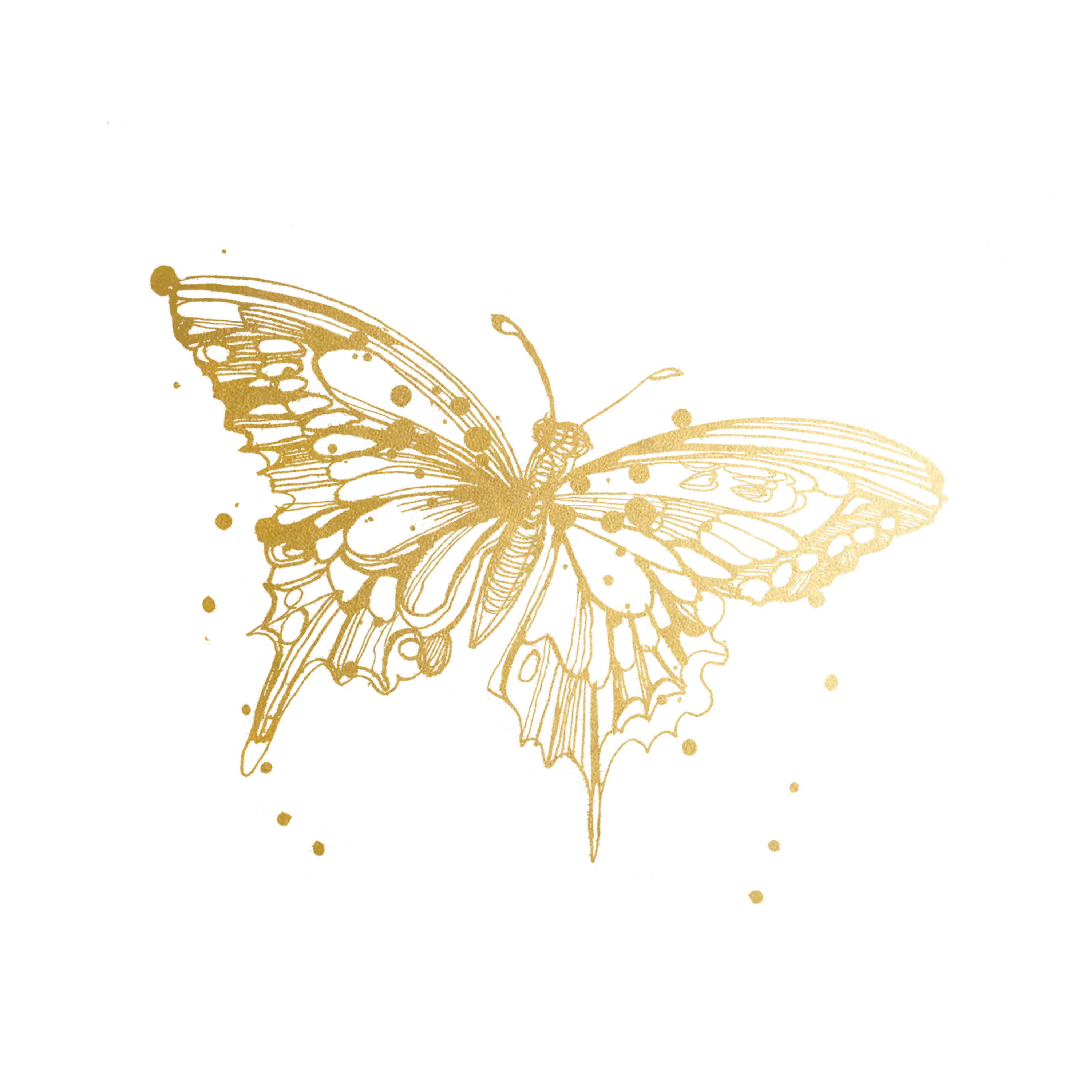 Tattly - Wholesale Temporary Tattoo - Flit (Gold) Tattoo Pair0