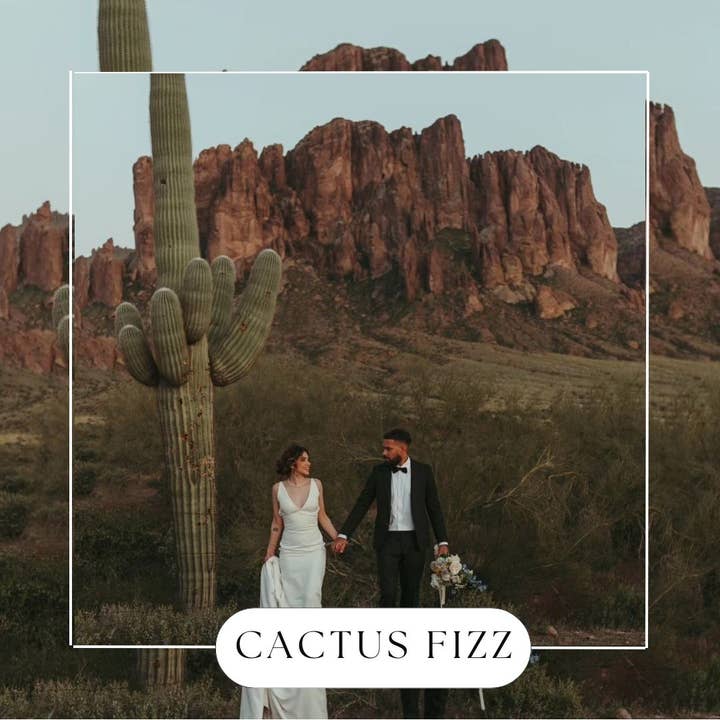 Cactus Fizz Hanging Reed Diffuser for wholesale by Made by Charlee