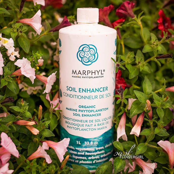 MARPHYL - Vente Engrais - Améliorant liquide du sol à base de phytoplancton marin 2 L (4 tailles)1