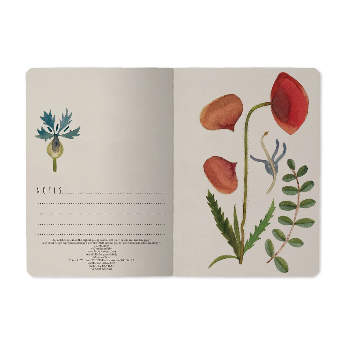 BV by Bruno Visconti - Wholesale Notebook - A6 Passport Notebook - Greens and Flowers3