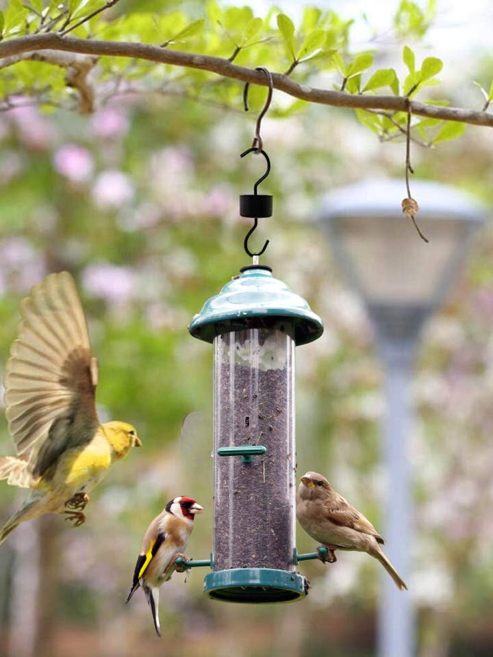 Myrskena för fågelmatare för wholesale av Vagabond Vintage