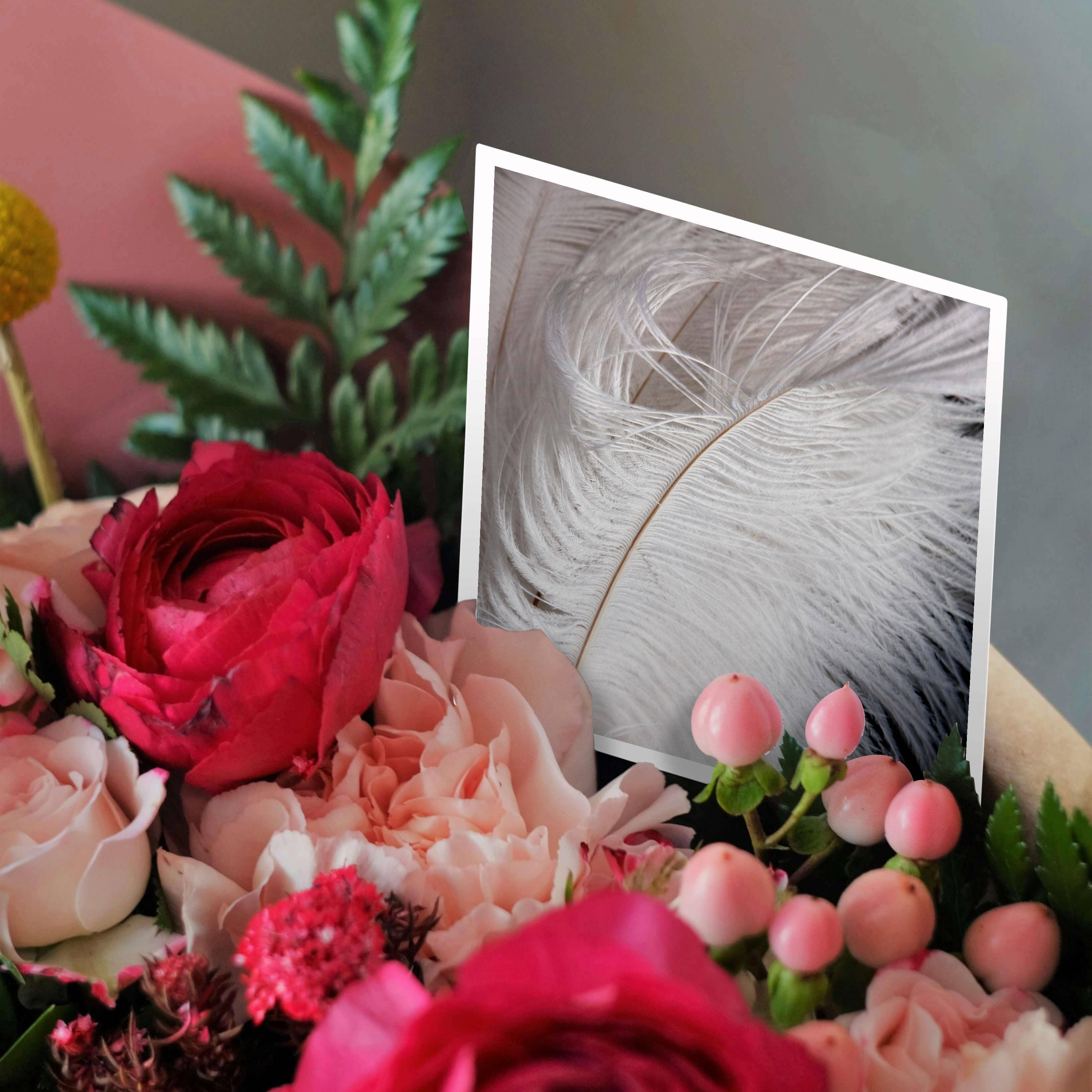 3dRose - Wholesale Everyday Greeting Card - 3dRose, Ostrich feathers of beige and white colors, Greeting Card2