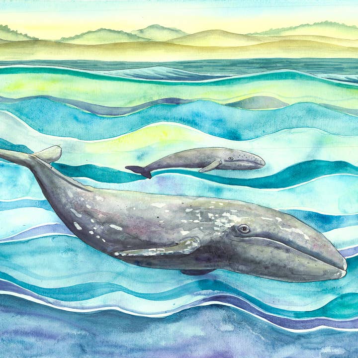 Impressão de Arte "Baleias Cinzentas" por atacado de Follow the Sun