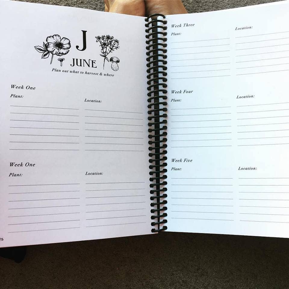 Rooted Apothecary - Wholesale Journal/Diary - Wildcraft  Journal2