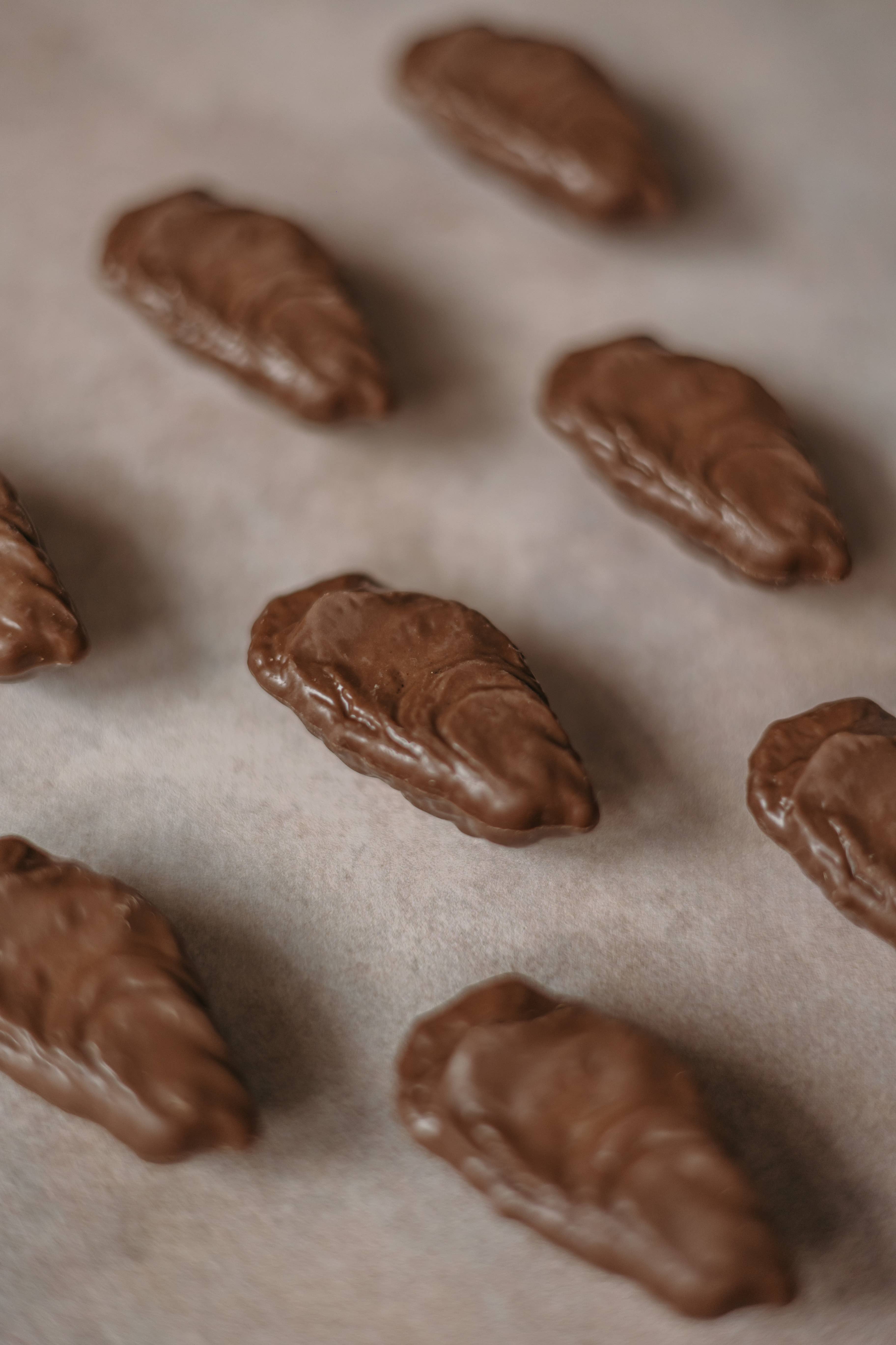 Chevaliers d'Argouges – Großhandel Schokoladenschachtel – Bourriche mit Pralinen in Form von Austern aus Milchschokolade5