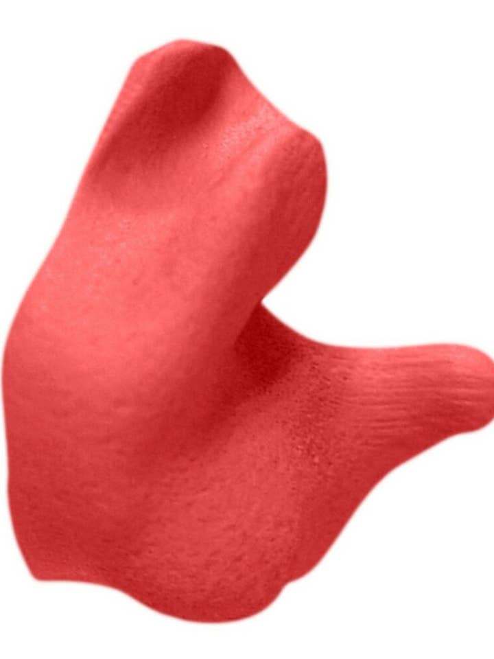 Radians Custom Molded Earplugs + Microfiber Storage Case, NRR 26, Red #CEP001-R for wholesale by Benhalex