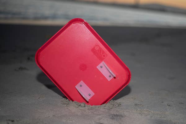 Tray Surf Co. - Wholesale Decorative Tray - Trayboard - "Fry Tray" 10in x 14in (RED)2