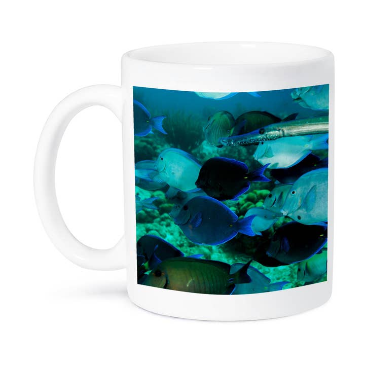 3dRose, Trumpetfisk simmar, stim av blå och lila kirurgfiskar, Bonaire, N.A., Mugg för wholesale av 3dRose