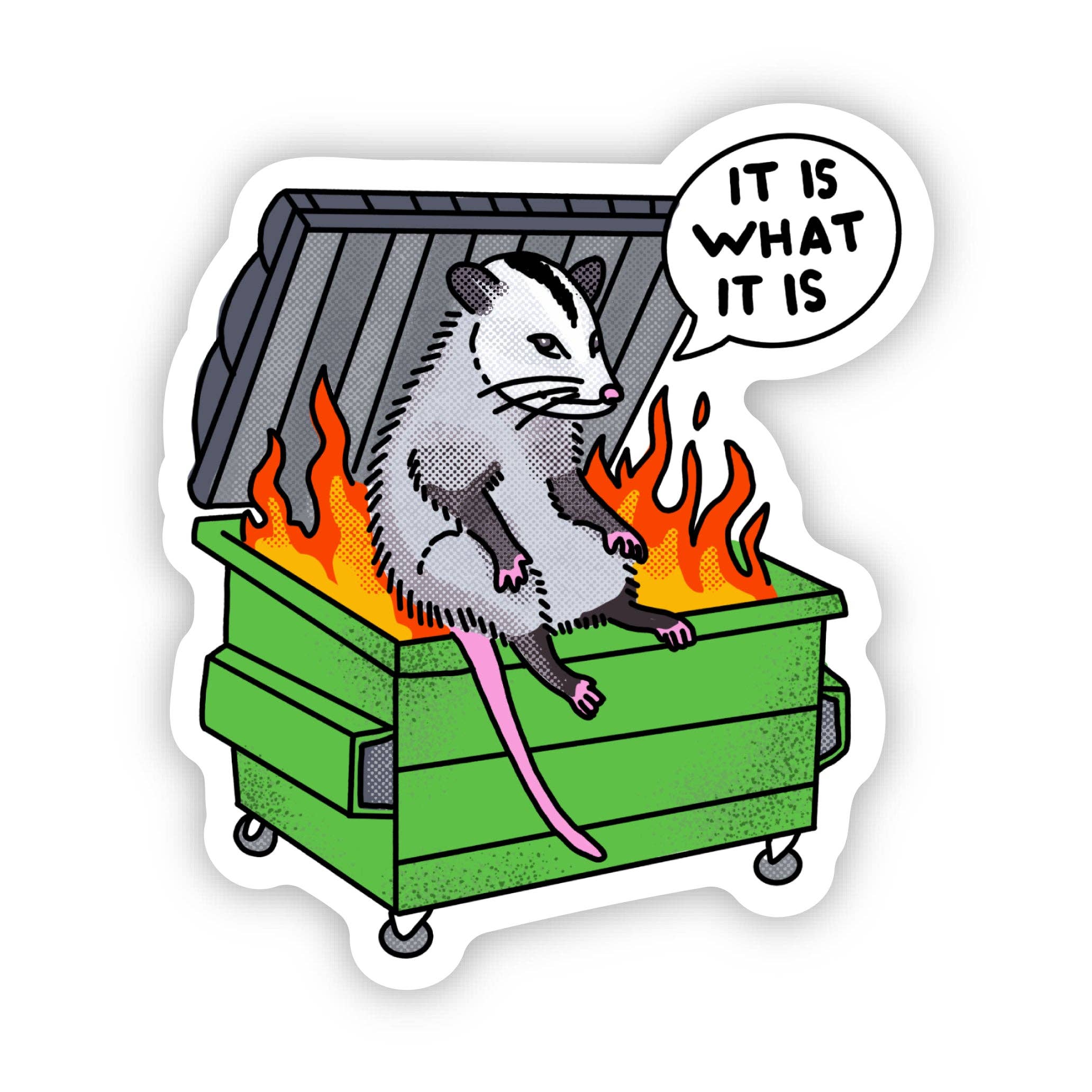 Big Moods - Wholesale Sticker - "It is what it is" Possum Dumpster Fire Sticker1