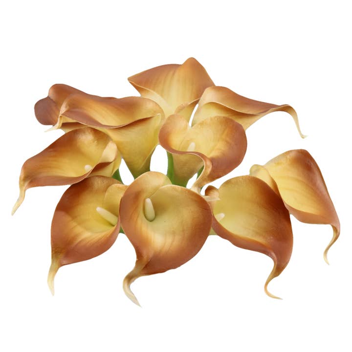 Angel Isabella - Vendita all'ingrosso Fiori finti - Calla Real Touch arancione tramonto, con steli da 35,6 cm e 25,4 cm8