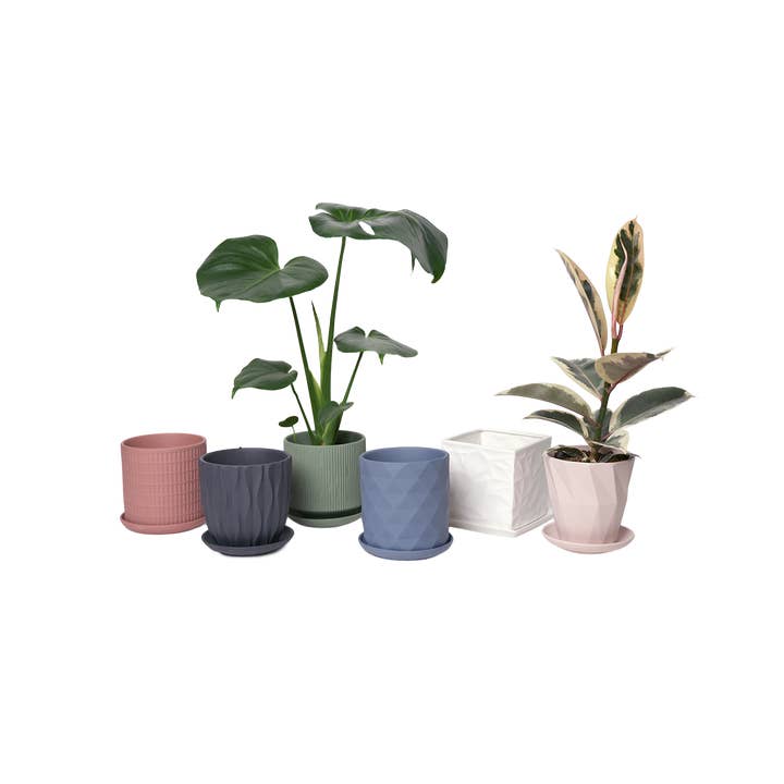 Virago Planter Pots With Drainage Hole 5 Inch Pot And Saucer for wholesale by Chive Canada