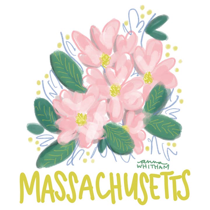 Massachusetts Mayflower Greeting Card | State Flower | MA | for wholesale by Anna Whitham Co.