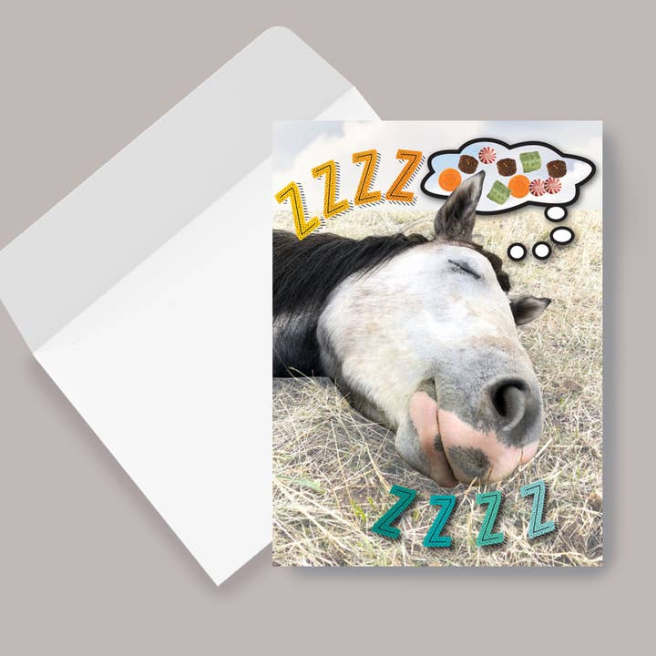 Horse Hollow Press - Wholesale Birthday Card - Horse Greeting Birthday Card / ZZZZzzzzzzz!!! / Funny Cute