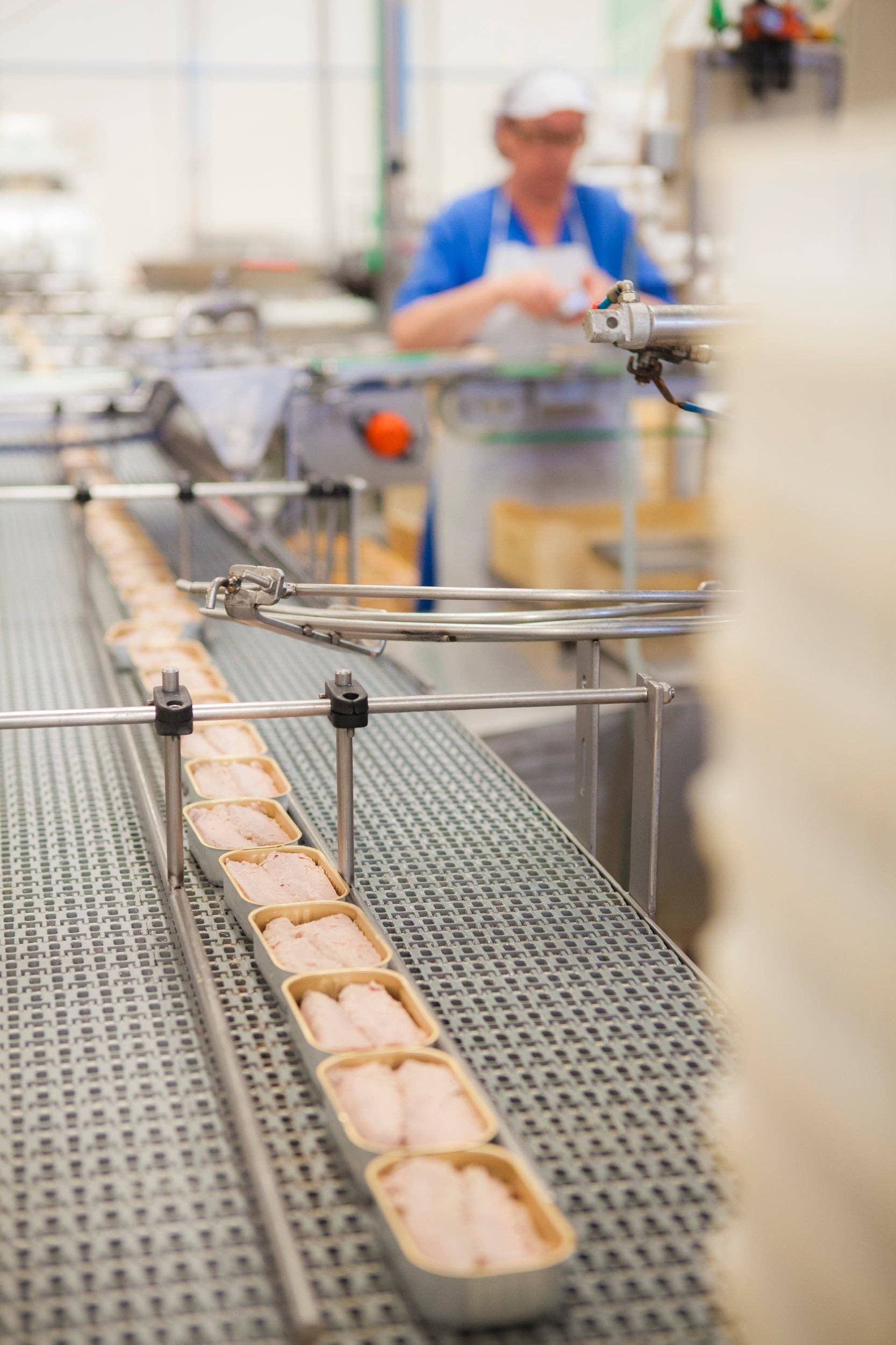 Portugalia Imports - Wholesale Tinned Fish - Santa Catarina Gourmet Tuna Fillets with Fennel and Olive Oil6