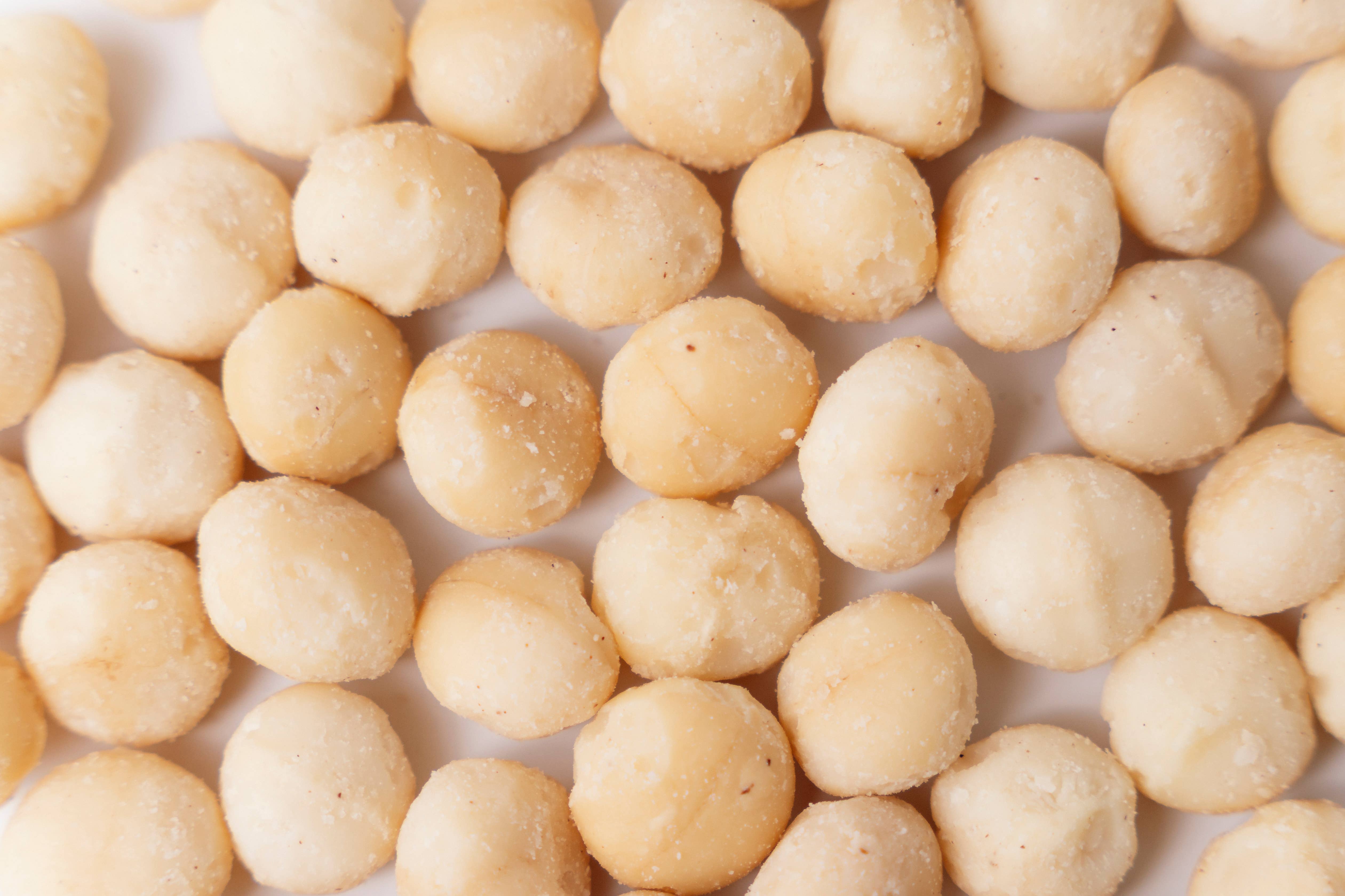 Agnellini Int Srl - Wholesale Nuts - Natural shelled Organic Macadamia Nuts 1.5kg2