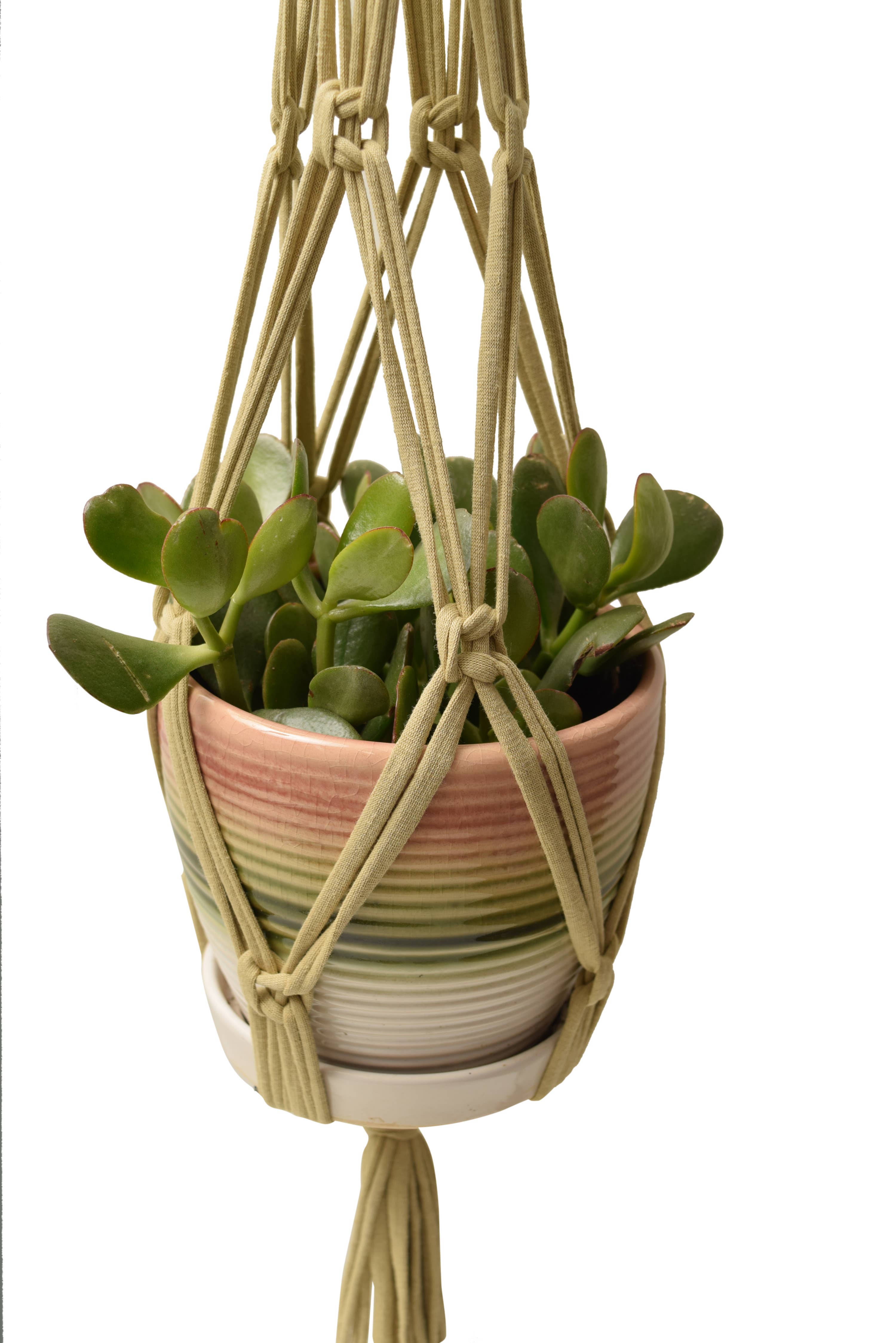 Shreds + rerope - Wholesale DIY Craft Kit - Eco DIY Macrame Plant Hanger Kit17