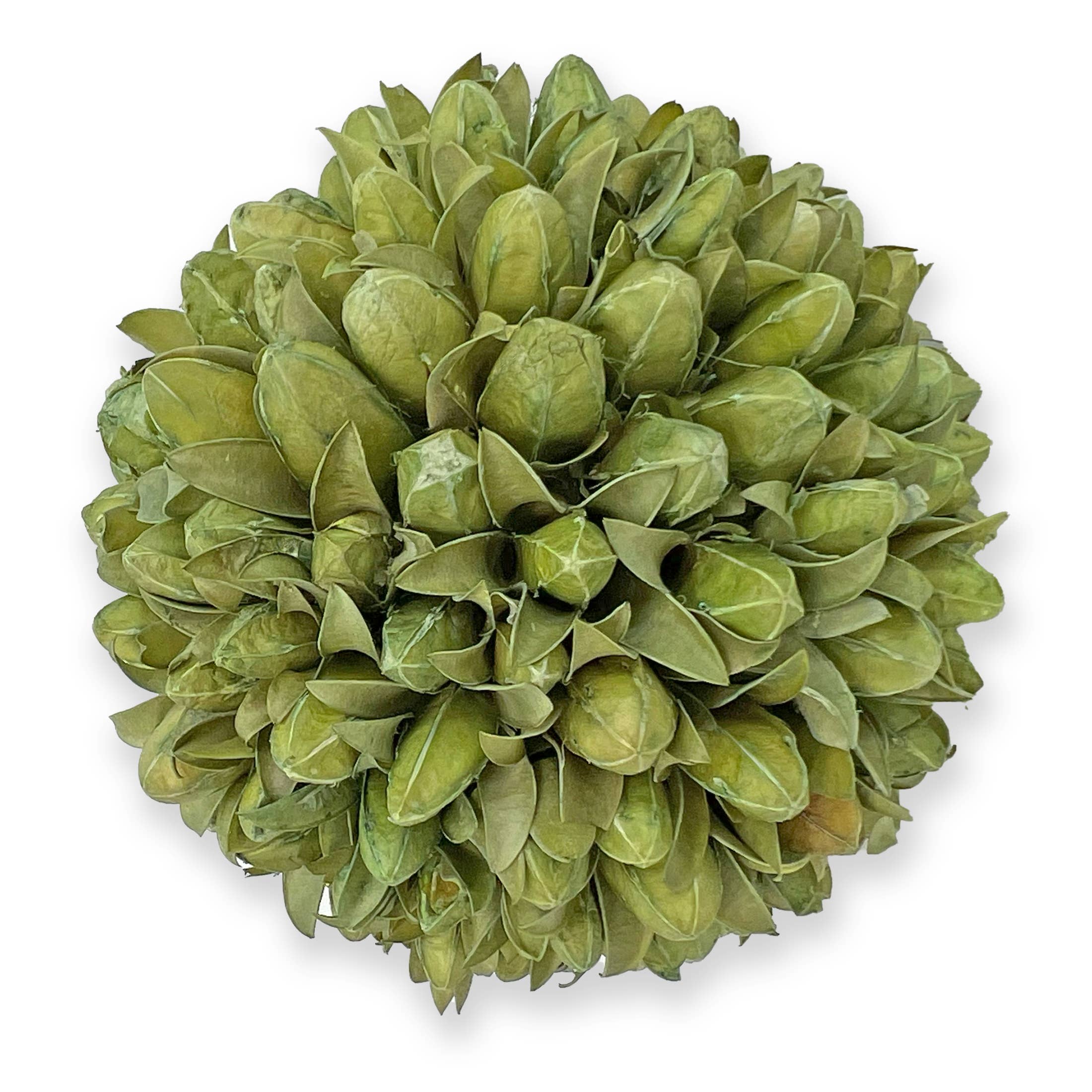 2626 Designs - Wholesale Decorative Tabletop Object - 3 Handmade Preserved Natural Floral Topiary Balls 7