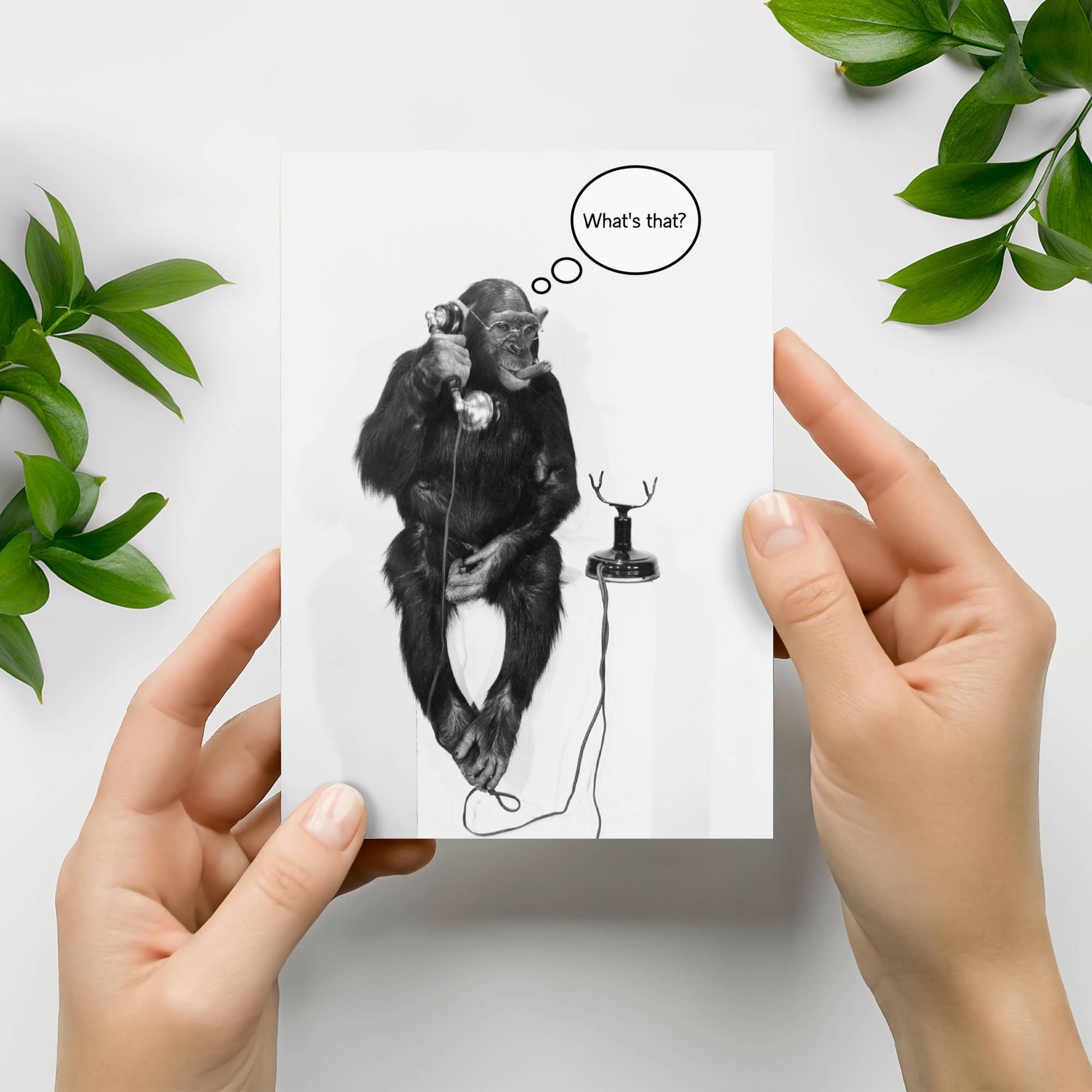 Northern Exposure - Wholesale Birthday Card - Youth Calling Happy Birthday Greeting Card1