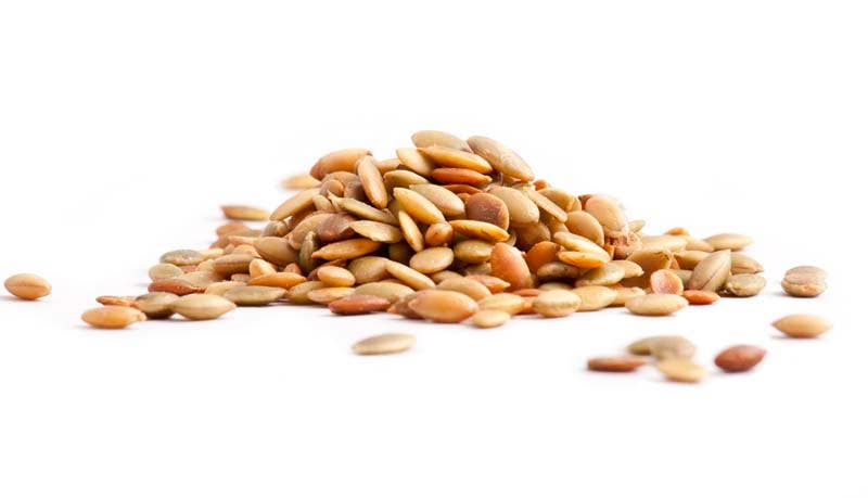 Good Sense Foods - Wholesale Nuts - Organic Roasted & Salted Pepitas (shelled pumpkin seeds)1